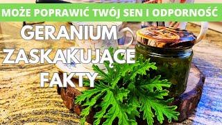 Geranium - zaskakujące fakty. Jak może poprawić twój sen i odporność.