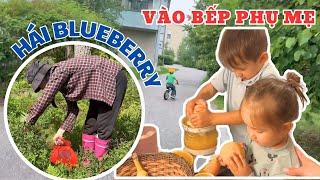 Picking Blueberries Had A Problem, Bon And Mun Help Mom In The Kitchen - Thuy Jyri Family Finland