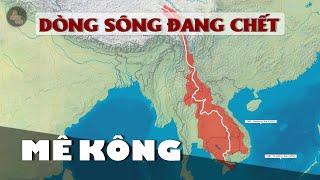 SÔNG MEKONG - DÒNG SÔNG ĐANG CHẾT | Không phải Trung Quốc, đây mới là quốc gia đang giế.t mekong