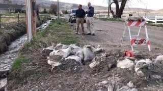 Josh Runhaar talks about flood damage to Mendon Road and elsewhere in Cache County.