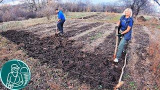 Digging soil without a walk-behind tractor  Treatment of clay soil