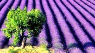 Jackie Lomax ~ Lavender Dream