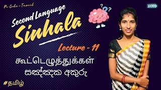 கூட்டெழுத்துக்கள் | சிங்கள எழுத்துக்கள் | பாகம் - 10 | Pi Code - Tamil #lec11