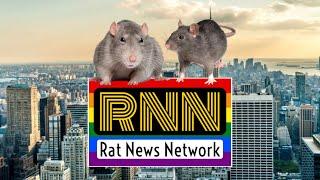 RAT NEWS