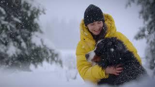 Winter in the Karlovy Vary Region