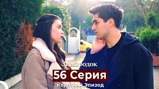 Зимородок 56 Cерия (Короткий Эпизод) (Русский дубляж)