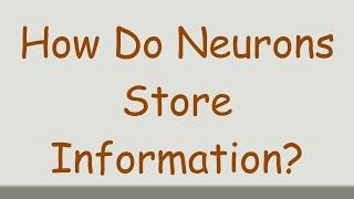 How Do Neurons Store Information?