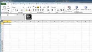 Excel 2010 - Gleiche Daten nur einmal eingeben