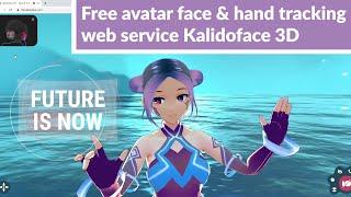 Free avatar face & hand tracking web service Kalidoface3D