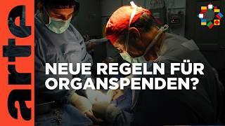 Wo hakt’s bei der Organspende? | ARTE Europa - die Woche