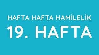 19.Hafta - Hafta Hafta Gebelik - Hamilelik | Anneysen.com