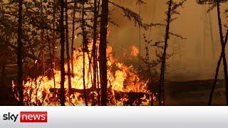 Climate concerns in Siberia as wildfires rage in the Russian Arctic