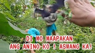 KAPANGYARIHAN NG ASWANG NA ITO,KAPAG NAAPAKAN NILA ANG IYONG ANINO,DI KANA MAKAGALAW.