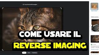 Come trovare foto su Internet con il reverse imaging per scoprire a chi appartengono