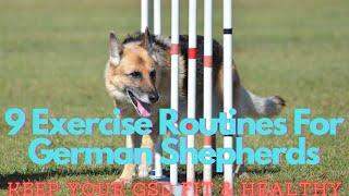 9 Exercise Routines To Keep Your German Shepherd Healthy & Fit