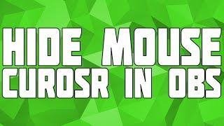 How to Hide Your Mouse Cursor in OBS! Hide Mouse Cursor on Stream! Remove Mouse Cursor in OBS!