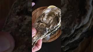 Как открыть устрицу дома (how to open an oyster at home)