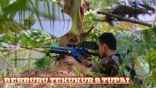 Kembali berburu target tekukur dan tupai/ SNIPER SOBO ALAS