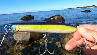 Big Beach Fish on New Topwater Lure!