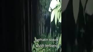 PERHATIKAN‼️KUNTILANAK TERBANG