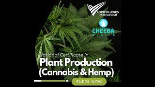 The Cannabis Industry Needs You - National Certificate at AGRICOLLEGES international