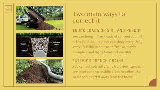 YARD DRAINAGE