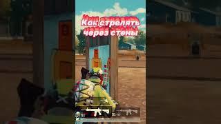 НОВЫЙ БАГ PUBG MOBILE КАК СТРЕЛЯТЬ ЧЕРЕЗ СТЕНЫ #pubg #пубг #pubgmobile #баги #лайфхаки #fyp #рек