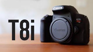 Top 5 Best Lens for Canon EOS Rebel T8i