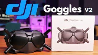 Everything you NEED to Know about the DJI Goggles V2