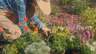 Things done in the garden in spring / Planting spring flowers / Building supports