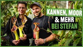 #209 Die dicksten Dinger - Riesen Nepenthes in Stefan´s Paradies