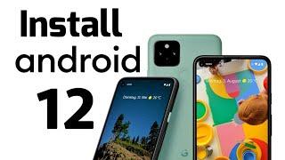 Install Android 12 Developer Preview | Quick & Easy