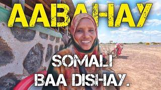 REERKEEDA WAXAA BAABI'IYAY SOMALI WALINA WAY DHOLACADEYNEYSAA | 60 SANNO KA HOR | Ep 20