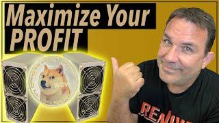 How to Maximize Profit on a Goldshell Mini Doge Miner | Which Mode is Best?