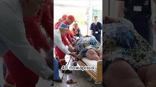 Вес её составлял 391 кг. #новости #вес #франция #операция