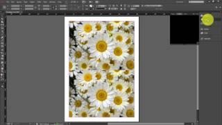 How to add a background image on Indesign