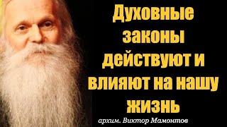 Как действуют Духовные законы на жизнь человека? архимандрит Виктор (Мамонтов)