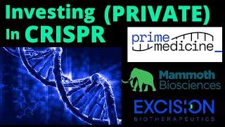 Investing in CRISPR (PRIVATE) Complete GUIDE (Prime & Beyond)