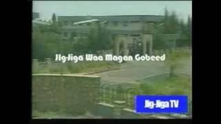 jigjiga TV news