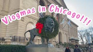 ASMR ART INSTITUTE of CHICAGO relaxing walking tour (whispering voiceover)