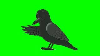 green screen crow video #chidiyakahani