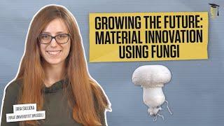 Growing the future: material innovation using fungi