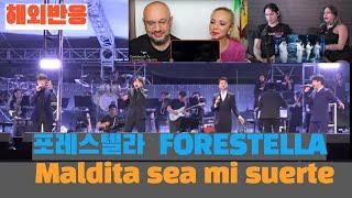 (해외반응) 포레스텔라  FORESTELLA 의  maldita  sea  mi  suerte 에 대한 해외 리엑터들의 반응 모음