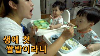 태어나서 처음 유아식 먹어보기 / 12개월 쌍둥이 육아 / 12 month twins Korean baby food