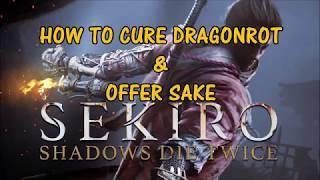 Sekiro (How To Cure Dragonrot & Offer Sake)