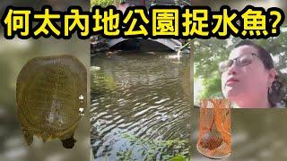 何太內地公園捉水魚? #何伯 #何太 #何太生活語錄 #東望西張 #熱門