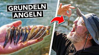 Angeln auf invasive Delikatesse  Grundeln fangen, töten & lecker zubereiten