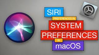 Siri Preferences | macOS System Preferences | Neev THM