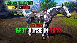 RDR2 - Get The Best & Fastest Missouri Fox Trotter Horse Easily & Early in Chapter 2 before GTA 6