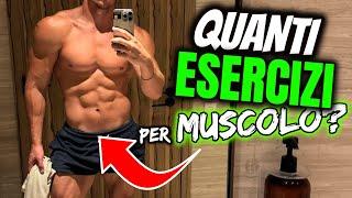 QUANTI ESERCIZI Massimo per GRUPPO MUSCOLARE per DIVENTARE ENORME?